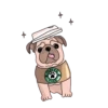 Perros Difras 2 14
