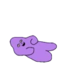 Purple star 13