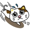 PAssING KITTY Mov 7