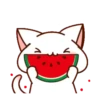 Loving kitten 10