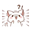 Loving kitten 13