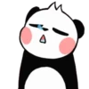 panditas bonitos  Movi 15
