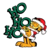 GaRfiElD   WiNtEr 14