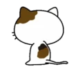 PAssING KITTY Mov 9