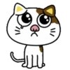 PAssING KITTY Mov 10