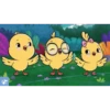 yellow chicks 🐥🐤🐥🐤 16