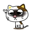PAssING KITTY Mov 11