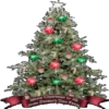 NAVIDAD PART1✪Hilmigue 17