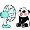 panditas bonitos  Movi 18