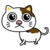 PAssING KITTY Mov 14