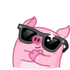 Wallow Pig 18