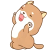 PERRITO-CUTE2 13