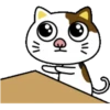 PAssING KITTY Mov 15