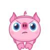 Wallow Pig 19