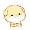 PUPPY.  mov. 22
