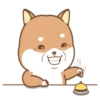 PERRITO-CUTE2 14