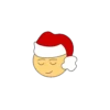 Christmas smile 17