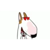 Bull Terrier Mov 18