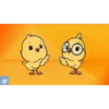 yellow chicks 🐥🐤🐥🐤 22