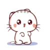Wen Small Meow 24