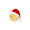 Christmas smile 20