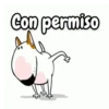 Bull Terrier Mov 19