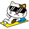 PAssING KITTY Mov 16