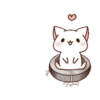 Loving kitten 21