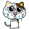 PAssING KITTY Mov 17