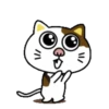PAssING KITTY Mov 19