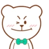 Urso Branco 16