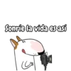 Bull Terrier Mov 20