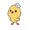 yellow chicks 🐥🐤🐥🐤 25