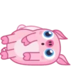 Wallow Pig 24