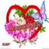 Bendiciones   ️1 Movi 24