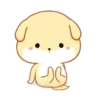 PUPPY.  mov. 28