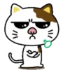 PAssING KITTY Mov 20