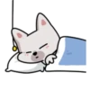 PERRO OKU.  MOV. 11