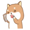 PERRITO-CUTE2 16