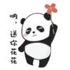 panditas bonitos  Movi 24