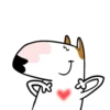 Bull Terrier Mov 21