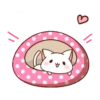 Loving kitten 24
