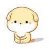 PUPPY.  mov. 29