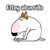 Bull Terrier Mov 22