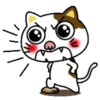 PAssING KITTY Mov 21