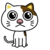 PAssING KITTY Mov 22