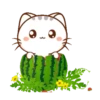 Wen Small Meow 29