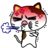 PAssING KITTY Mov 23