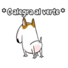 Bull Terrier Mov 23