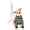 Perritos y salchichas(❍ᴥ❍ʋ) 30